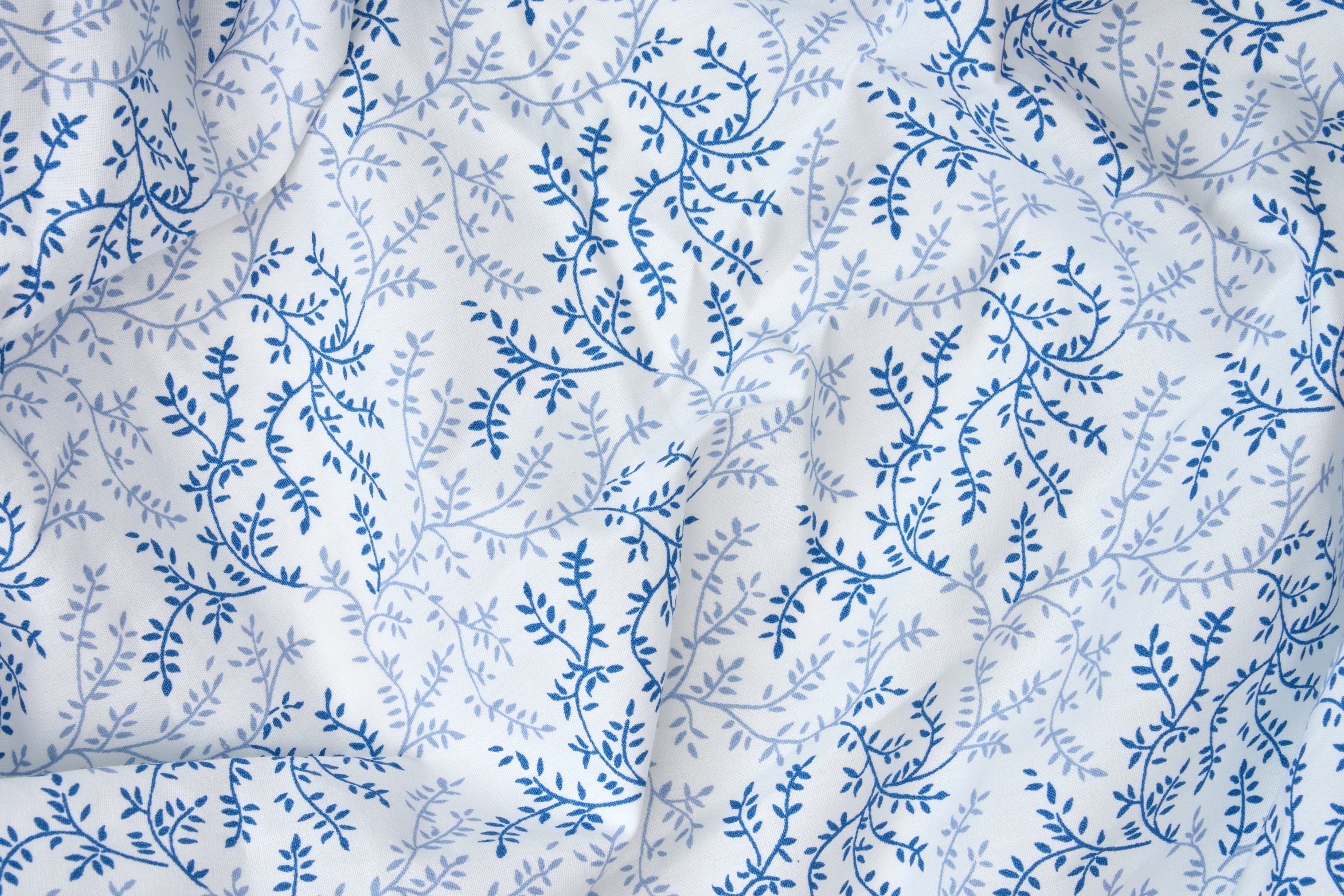 Cotton Percale Bed Sheet Set Print