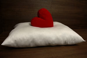 Organic Shredded Latex Pillow
