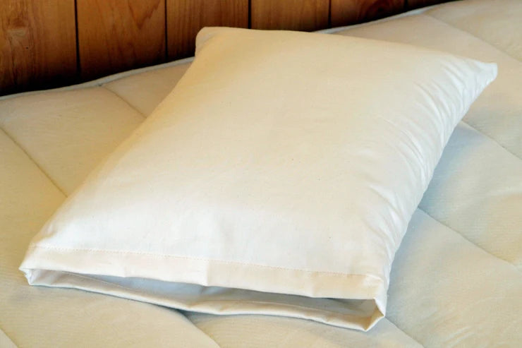 Snuggle Pillow (Travel & Baby)