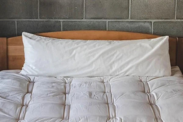 Large natural body pillow by Holy Lamb Organics with soft, organic fabric for comfortable sleep and support.