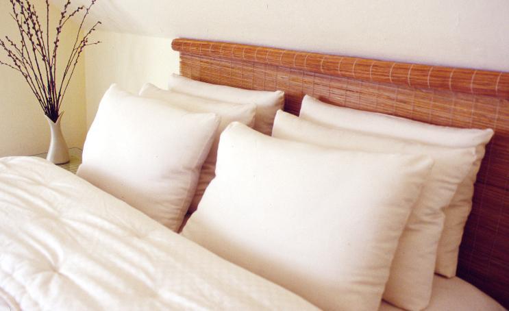 All-natural wool-filled bed pillows from Holy Lamb Organics resting on a cozy bed with soft linens.